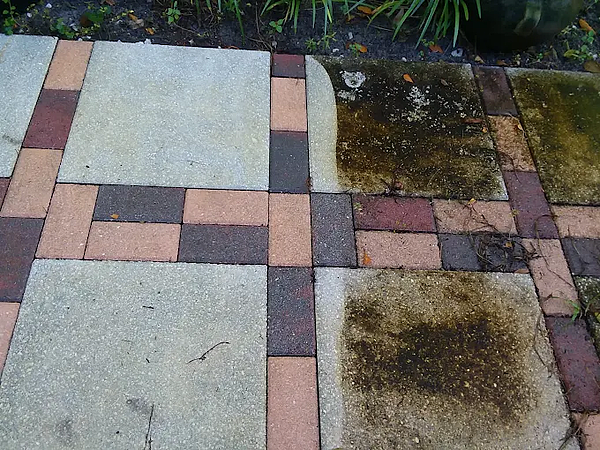 How Humidity and Salt Air Damage Tile and Grout In South Florida Homes