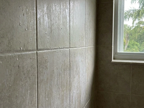 Is Your Shower Tile in Broward County Building Up Soap Scum?