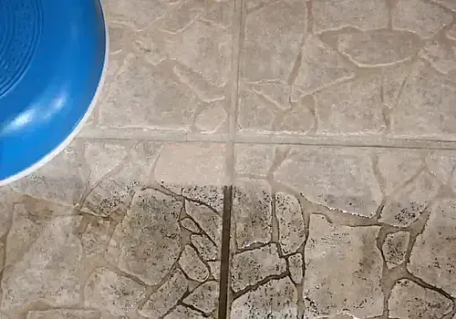 202508311247076_IMG0581_1